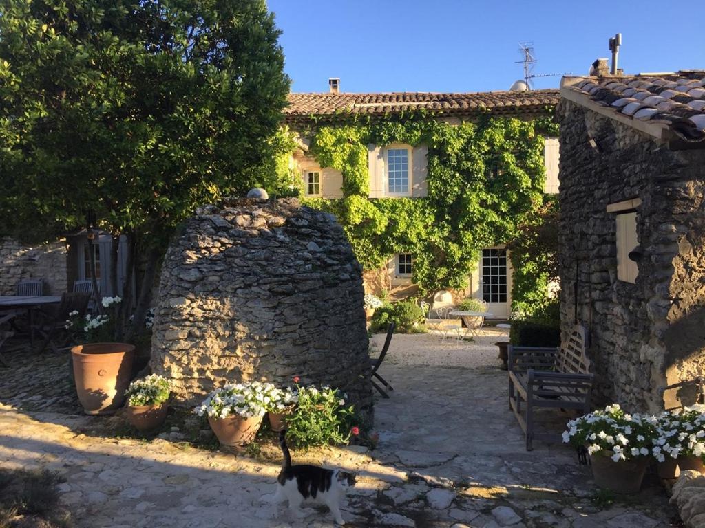 Le Mas Du Lavoir Gordes Extérieur photo